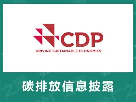 《CDP 碳排放披露流程全知道，奋飞咨询&奋恒上海伴您同行！》