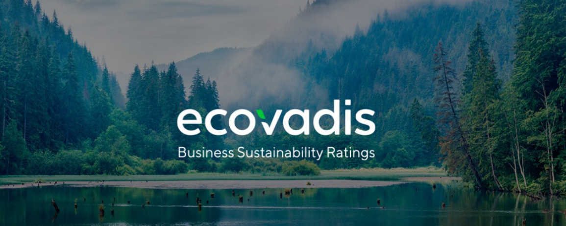 Ecovadis评估详解：让你的企业社会责任得分飙升！