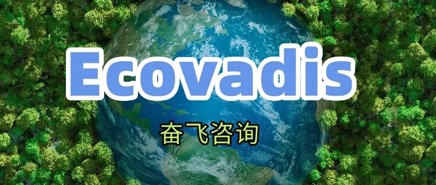 EcoVadis评估四大行动指南：助力请求公司顺利推进可持续采购