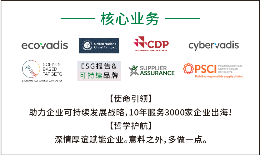 Ecovadis项目获殊荣：客户来电表彰，银牌荣誉彰显实力