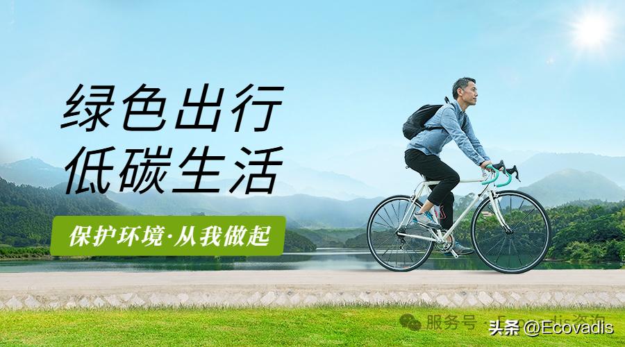 奋飞咨询助力企业：通过EcoVadis评估，削减碳排放与能耗