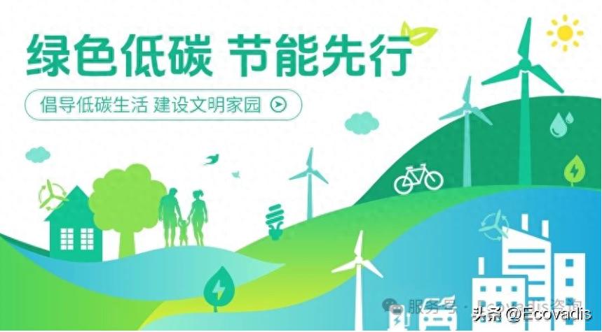 奋飞咨询山东行：助力企业跨越EcoVadis绿色门槛，共筑可持续发展