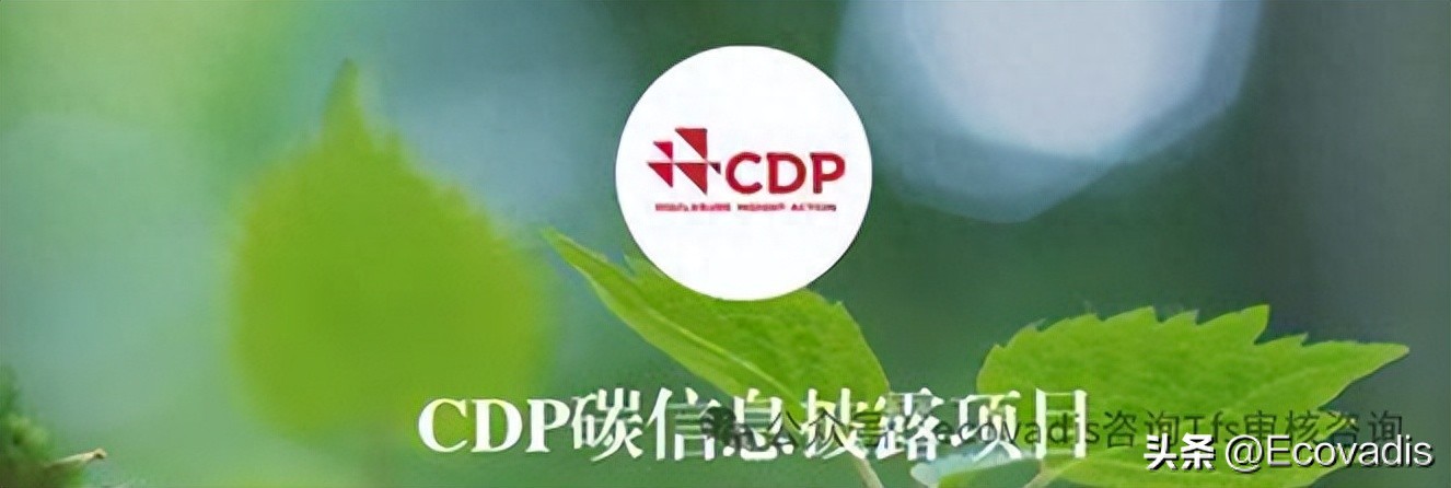 CDP报告：企业应对全球脱碳趋势的关键行动与价值洞察