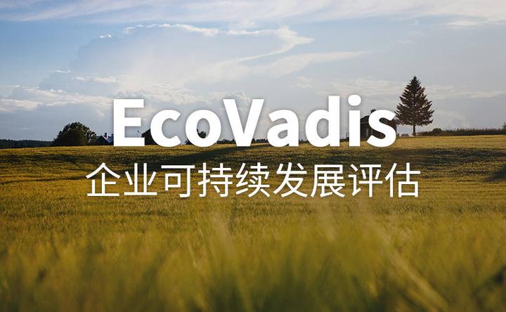 奋飞咨询携手某医药公司，共启EcoVadis可持续发展新征程