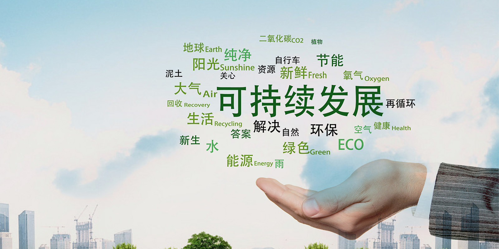 专业起步，稳健前行 奋飞咨询杨老师助力企业斩获 Ecovadis 铜牌认证