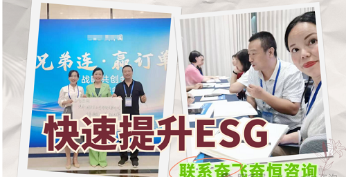 奋飞咨询一个月，6块EcoVadis奖牌，最高冲到铂金！！！