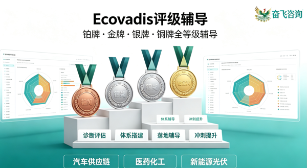 2026年Ecovadis咨询公司哪家好？奋飞咨询专业助力企业出海